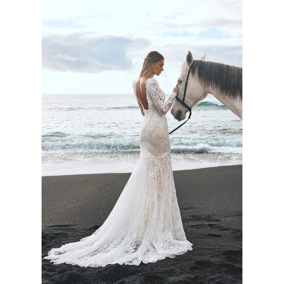 Pronovias Panjin Wedding Gown Size 14 Lace Long Sleeve - Picture 2 of 15